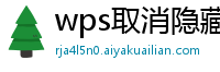 wps取消隐藏的快捷键是哪个键盘图标显示的